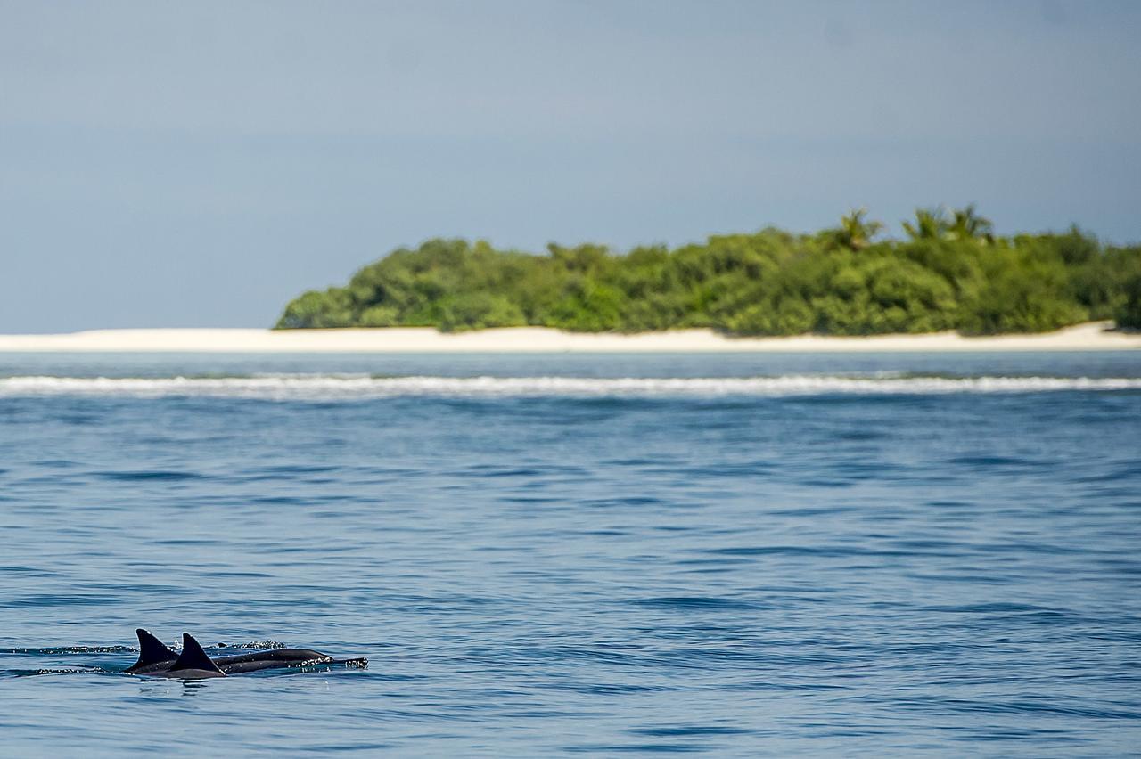 Detour Beach View Hangnaameedhoo Bagian luar foto