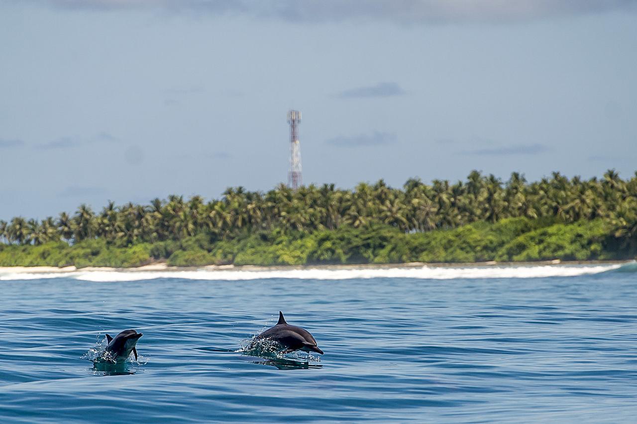 Detour Beach View Hangnaameedhoo Bagian luar foto